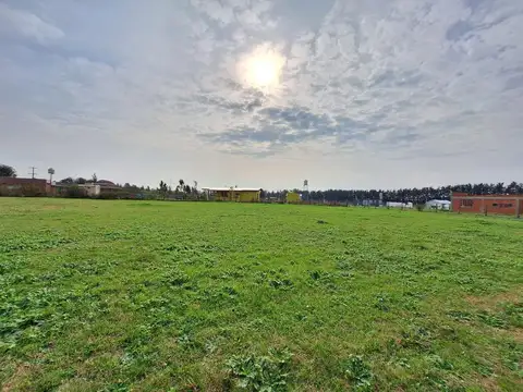 TERRENO EN VENTA CARDALES