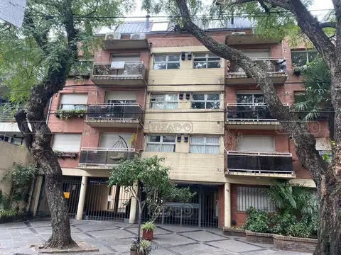Diego palma 100