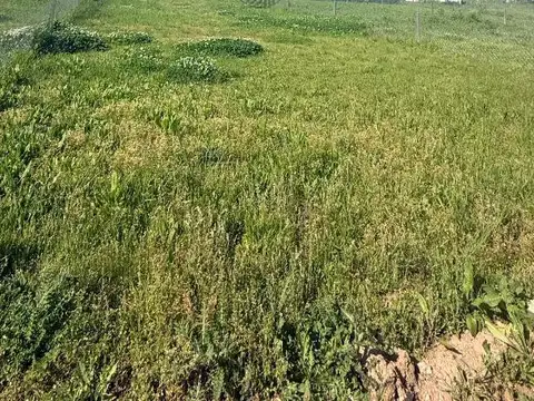 Oportunidad Increible