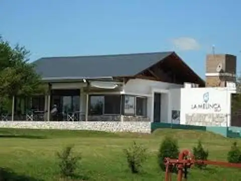 Ruta 5