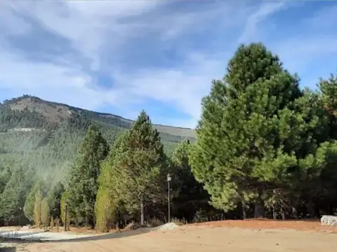 Terreno en Venta de 1560,0 m2