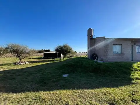 Zorzal esquina Golondrina 100