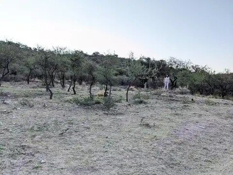 Terreno en Venta en San Fco Del Monte De Oro, USD 8.000