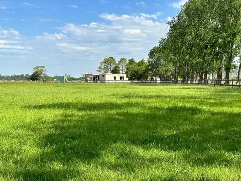Terreno en Venta de 5000,0 m2