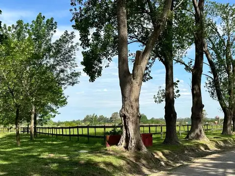 Haras El Malacate