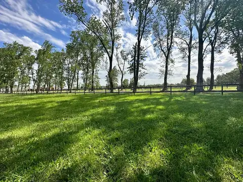 Terreno en Venta 90  mts Fondo