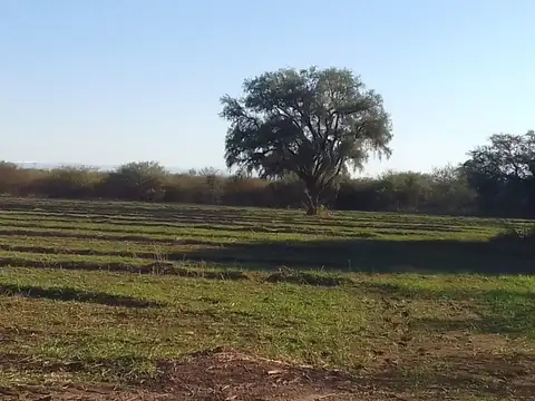 VENTA DE CAMPO 78 HAS EN VILLA DEL SOTO CORDOBA