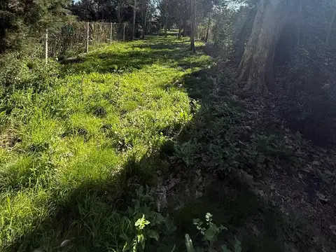 437 139 y 140 El Rincon, Arturo Segui