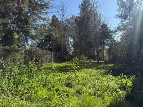 Terreno en Venta en Arturo Segui, USD 20.000