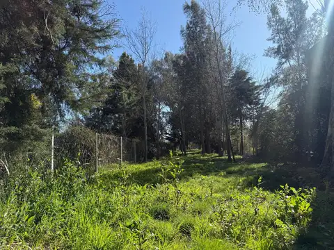 Terreno en Venta 10  mts Fondo