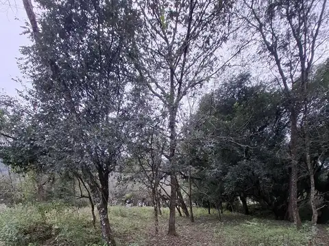 Rio de las Nieves. VAQUEROS