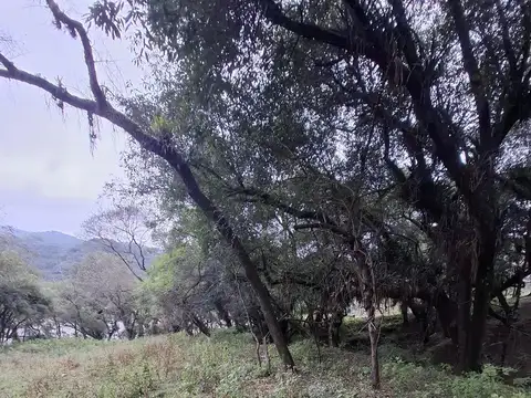Rio de las Nieves. VAQUEROS