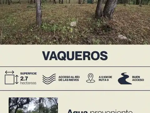 Rio de las Nieves. VAQUEROS