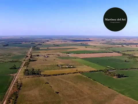 Campo en Venta de 12  ha