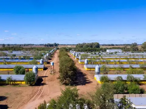 Granja avicola en venta 30 galpones en 25 de Mayo Buenos Aires