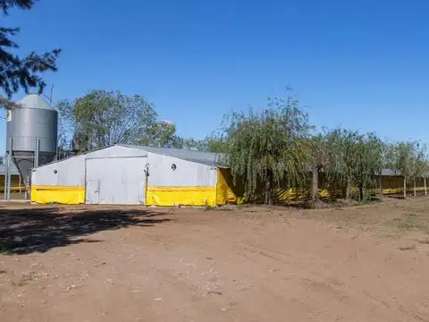Granja avicola en venta 30 galpones en 25 de Mayo Buenos Aires