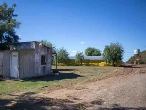 Pedernales 25 de Mayo Provincia de Buenos Aires