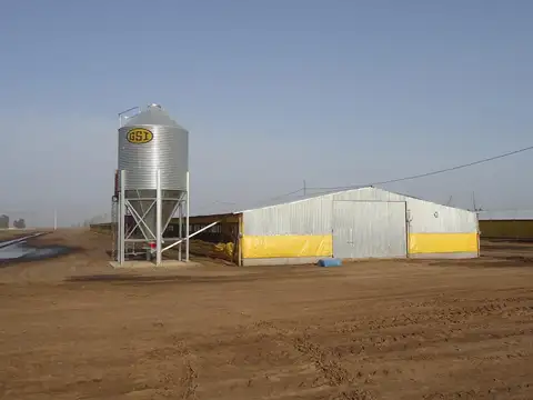 Pedernales 25 de Mayo Provincia de Buenos Aires