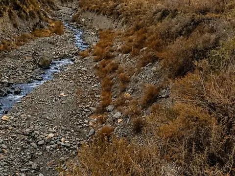 Lote 3.5Ha Piedra Blanca Vallecitos/A° Las Mulas