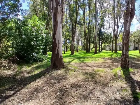 La Pista