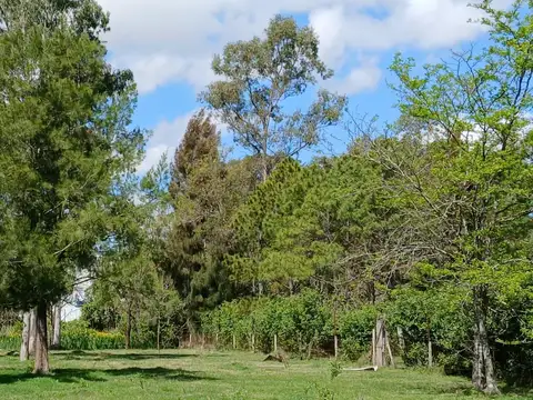 La Pista