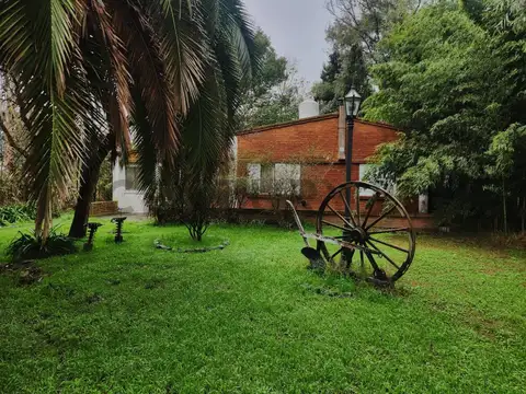 REINA MORA , Piso 0