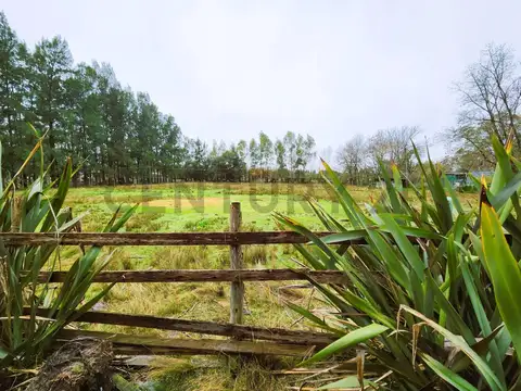 VENTA | CASA QUINTA | CAÑUELAS | PILETA