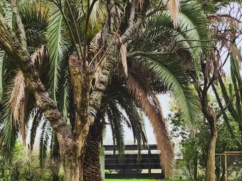 VENTA/CASA QUINTA | CAÑUELAS