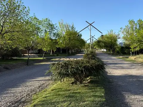 Roque Saenz Peña 100