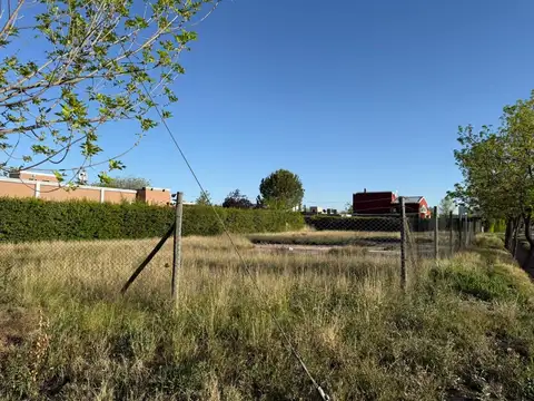 Roque Saenz Peña 100