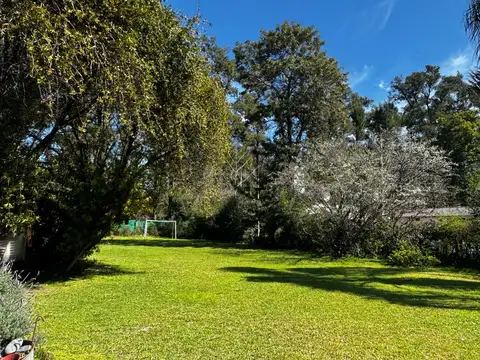 Los Naranjos, Ing Maschwitz