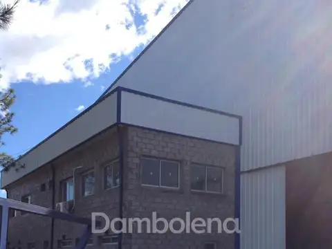 Galpon en Alquiler A Estrenar