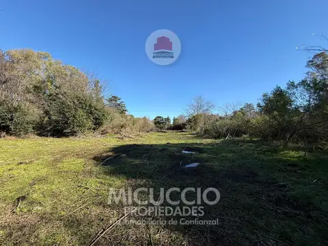Terreno en Venta de 1980,0 m2