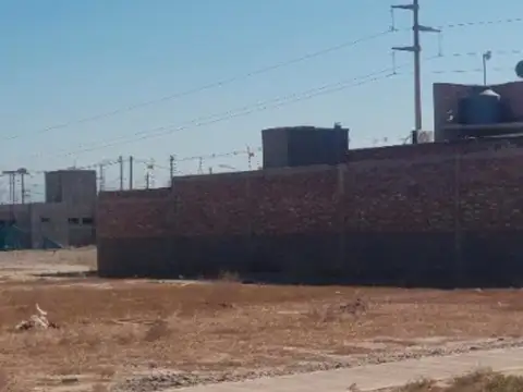 Pié de Palo MZA *C* LOTE 100