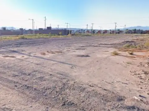 Pié de Palo MZA *C* LOTE 100
