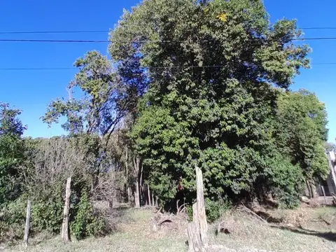 Terreno en Venta en Villa Catalina, USD 29.500