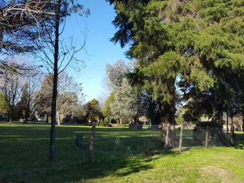 Venta Casa tipo campo terreno de 1.9 Ha en Zelaya Pilar