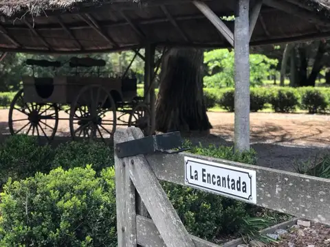 Cuartel Xii 100