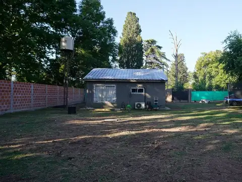 Tomás Espora 1000