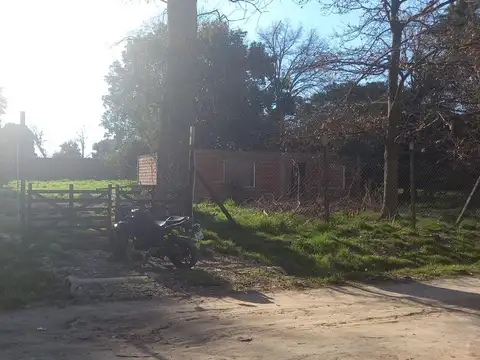 Gran Alameda 100