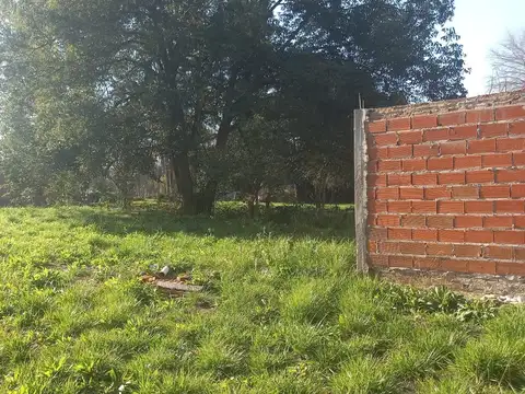 Gran Alameda 100