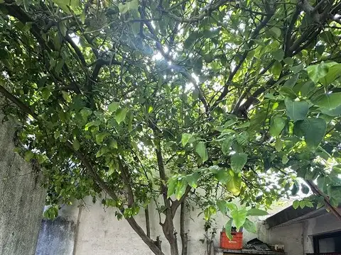 Casa Monoambiente con 1 baño