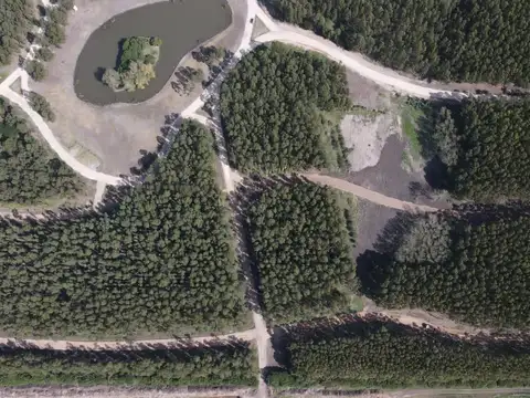 Ruta 11 km 493,5 7600