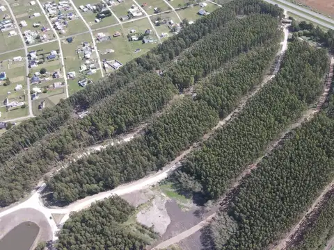 Terreno en Venta en Balneario Mar Chiquita, USD 65.000