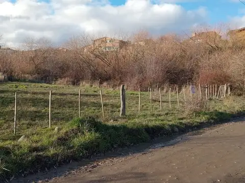 Padre Hermes Grasso 100