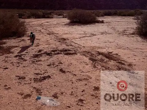 Terreno en Alquiler de 20000,0 m2