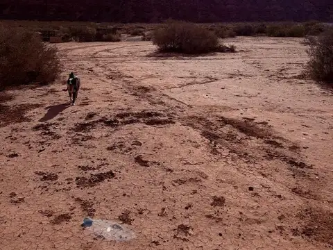 Terreno en Alquiler de 20000,0 m2