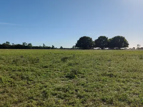 Vendo excelente lote en Barrio Cerrado El Chaja  Zarate