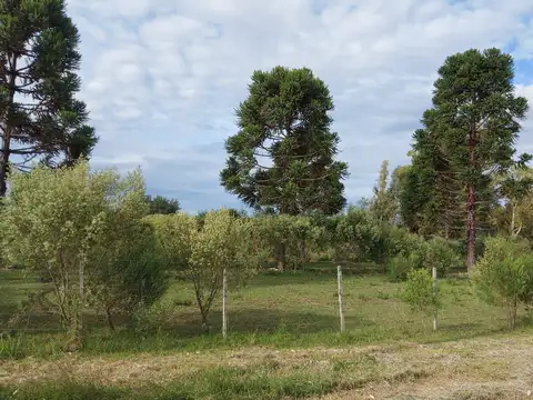 Vendo excelente lote en Barrio Cerrado El Chaja  Zarate