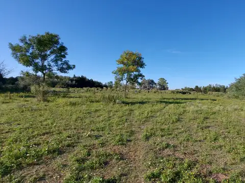 Terreno en Venta de 56000,0 m2